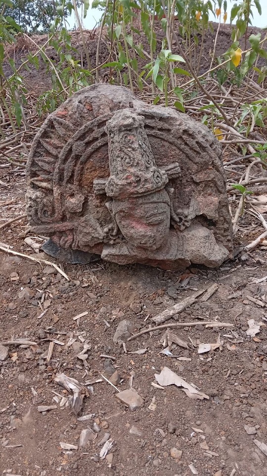 पालघर तालुक्यामधील सफाळे येथील शिलटे या गावी तलावाचे खोदकाम करताना सापडली बुद्ध मूर्ती