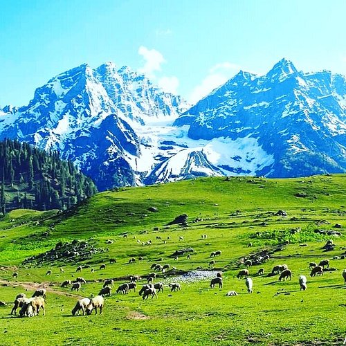 पंडित नेहरू ही थे जिनके वजह काश्मिर मिला, नहीं तो संघ, सावरकर और मुखर्जीने राजा और पाक से सौदा किया था….!